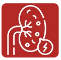 Kidney Stone Management